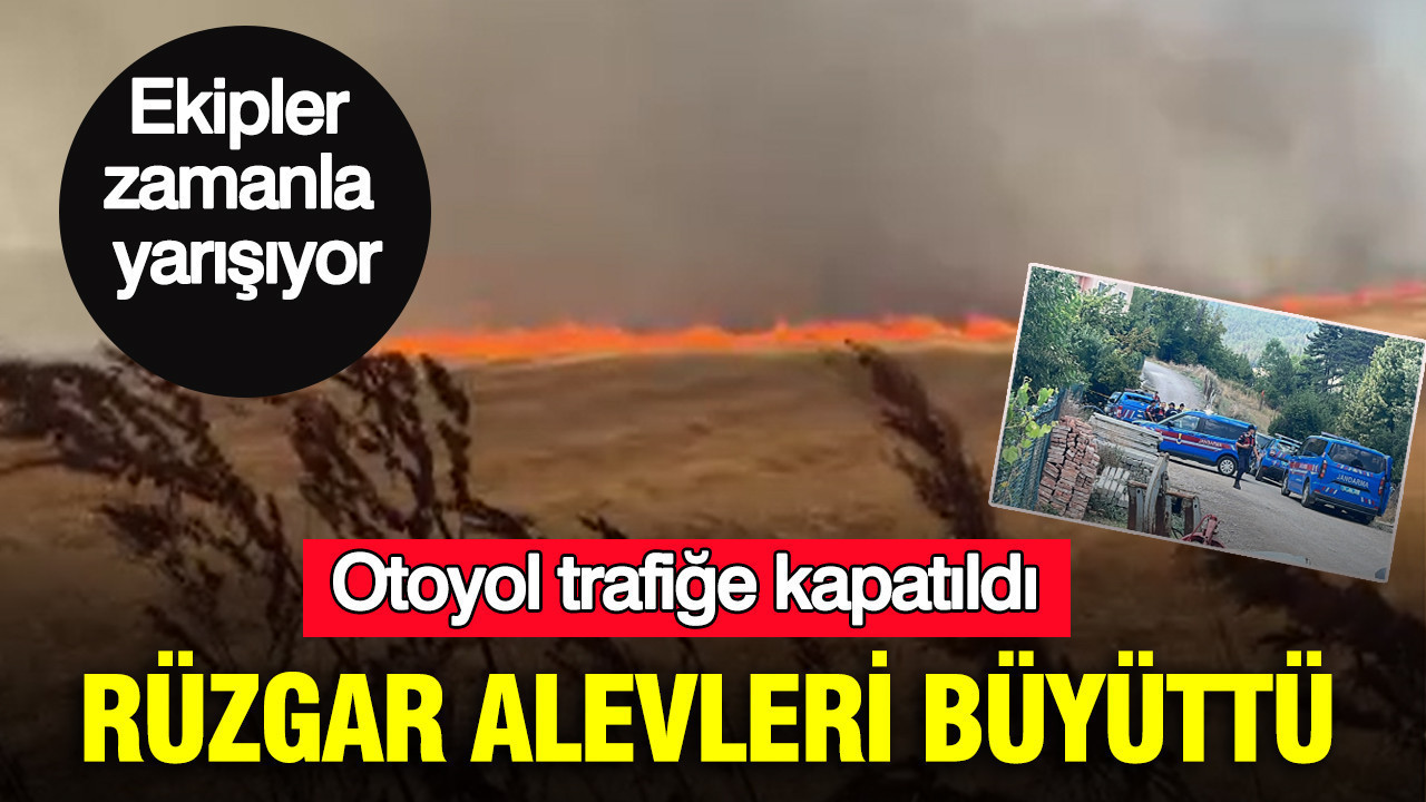 Rüzgar alevleri büyüttü: Otoyol trafiğe kapatıldı: Silivri’de yangın